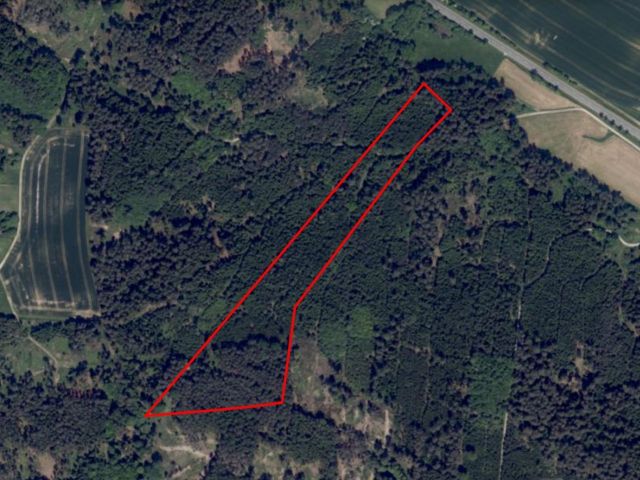 Lageskizze - Über 3 ha Wald in der mittelfränkischen Metropolregion Nürnberg **vertragsfrei**