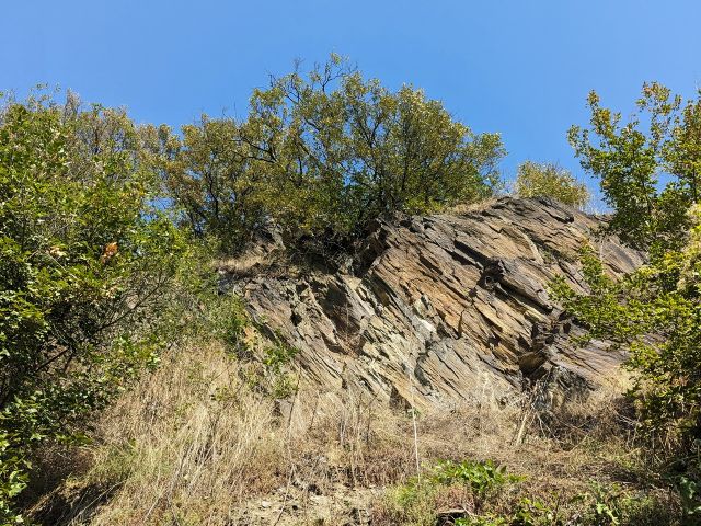 Blick auf das Grundstück - Vertragsfreies Grundstück (Fels) inmitten von Weinbergen im der Weinbaulage ´Kauber Rauschelay´