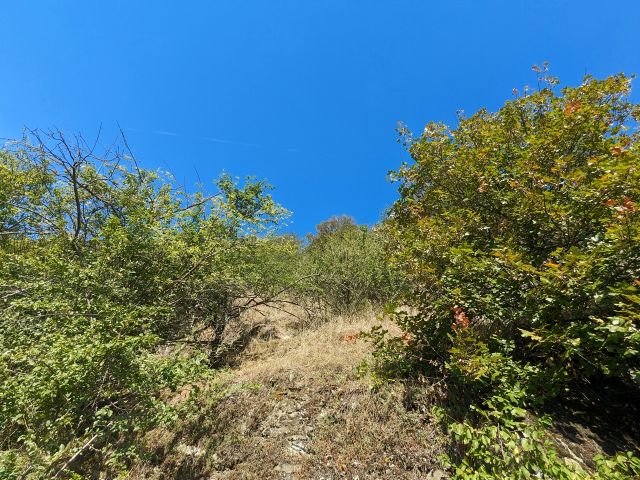 Blick auf das Grundstück   - Vertragsfreies Grundstück (Fels) inmitten von Weinbergen im der Weinbaulage ´Kauber Rauschelay´