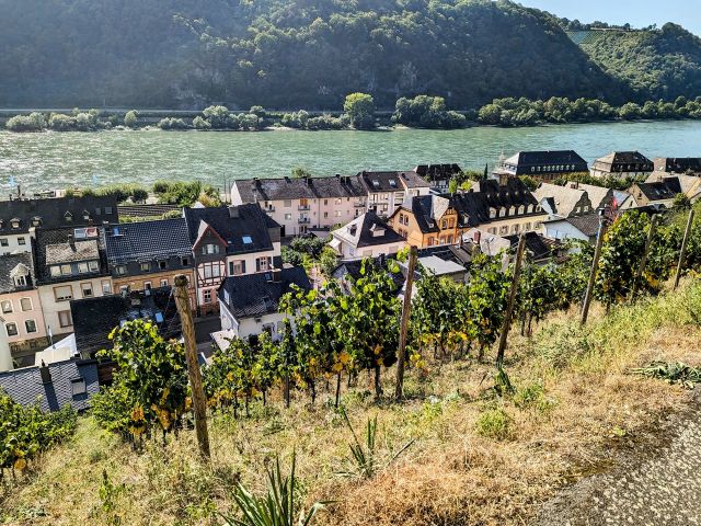 Blick vom Grundstück auf angrenzende Weinberge, Kaub und den Rhein - Vertragsfreies Grundstück (Fels) inmitten von Weinbergen im der Weinbaulage ´Kauber Rauschelay´