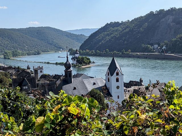 Blick vom Grundstück in die Umgebung - Vertragsfreies Grundstück (Fels) inmitten von Weinbergen im der Weinbaulage ´Kauber Rauschelay´