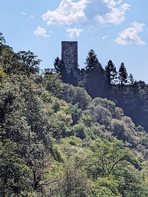 Blick vom Grundstück auf Burg Gutenfels - Vertragsfreie Waldfläche am Holzbach