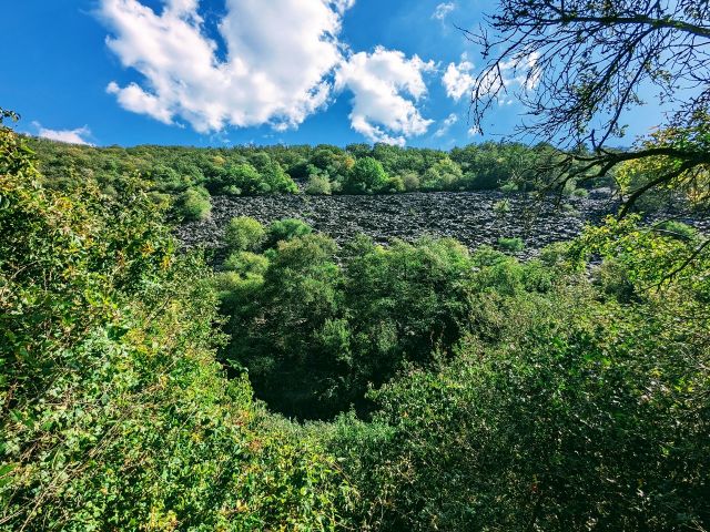 Blick vom Grundstück in die Umgebung - Vertragsfreie Waldfläche am Holzbach