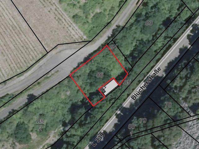 Lageskizze mit Luftbildunterlegung - Vertragsfreie Waldfläche am Holzbach