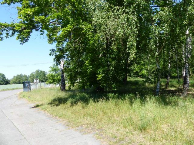Blick auf Verkaufsfläche und Umgebung - Mit Laubwald bestockte Fläche südlich von Wohnbebauung und angrenzend an das Tierheim Falkensee