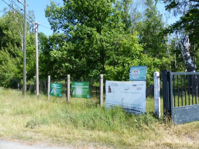 Blick auf Verkaufsfläche und Umgebung - Mit Laubwald bestockte Fläche südlich von Wohnbebauung und angrenzend an das Tierheim Falkensee