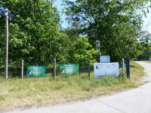 Blick auf Verkaufsfläche und Umgebung - Mit Laubwald bestockte Fläche südlich von Wohnbebauung und angrenzend an das Tierheim Falkensee