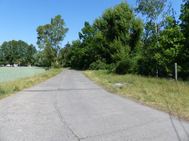 Straßenansicht - Verkaufsfläche rechts - Mit Laubwald bestockte Fläche südlich von Wohnbebauung und angrenzend an das Tierheim Falkensee