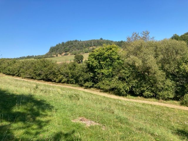 Blick auf Verkaufsfläche und Umgebung - Grünlandfläche teilweise mit Gehölzbewuchs im Gladenbacher Bergland