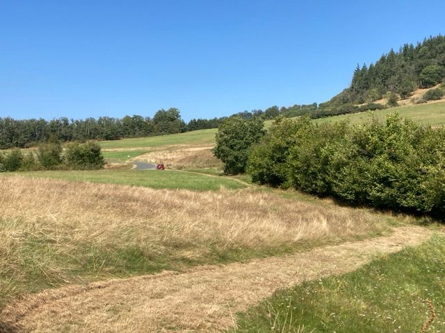 Blick auf Verkaufsfläche und Umgebung - Grünlandfläche teilweise mit Gehölzbewuchs im Gladenbacher Bergland