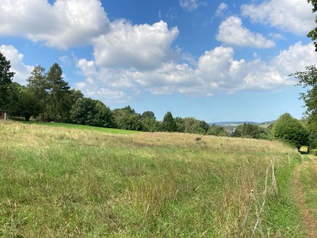 Blick auf die Umgebung - Grünlandfläche vermutlich teilweise mit Gehölzbewuchs in Wetzlar
