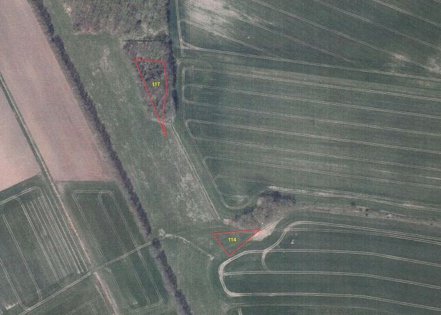 Lageskizze Flurstücke 114 und 117 - 5 Splitterflächen (Acker sowie Forsten und Holzungen) mit insgesamt über 1 ha in der Prignitz