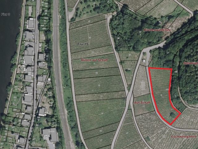 Lageskizze mit Luftbildunterlegung - Weinberg mit der Rebsorte Riesling in Eigenbewirtschaftung östlich der Mosel **sofortige Nutzung möglich**