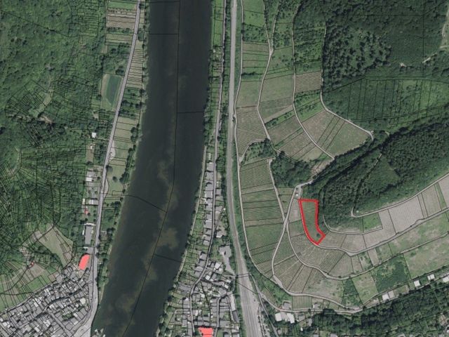 Lageskizze mit Umgebung und Luftbildunterlegung - Weinberg mit der Rebsorte Riesling in Eigenbewirtschaftung östlich der Mosel **sofortige Nutzung möglich**