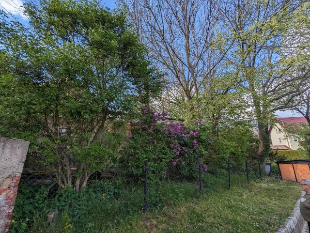 Rückwärtige Ansicht Verkaufsobjekt - Garagenzeile und Teil einer ehemaligen Wassermühle in zentraler Lage am Kirchplatz