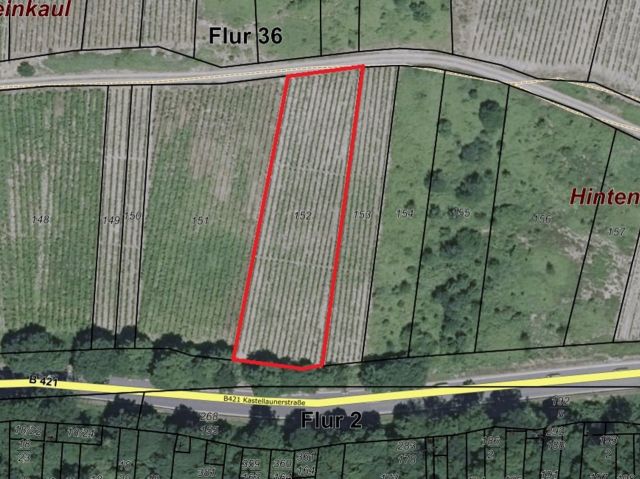 Lageskizze mit Luftbildunterlegung - Vertragsfreier Weinberg mit der Rebsorte Riesling östlich der Mosel **sofortige Nutzung möglich**