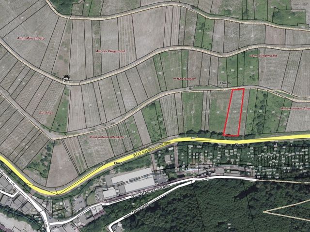 Lageskizze mit Umgebung und Luftbildunterlegung - Vertragsfreier Weinberg mit der Rebsorte Riesling östlich der Mosel **sofortige Nutzung möglich**