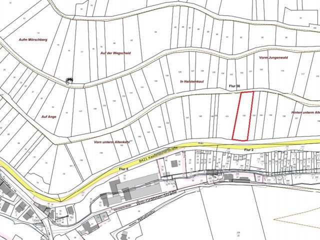 Lageskizze mit Umgebung - Vertragsfreier Weinberg mit der Rebsorte Riesling östlich der Mosel **sofortige Nutzung möglich**