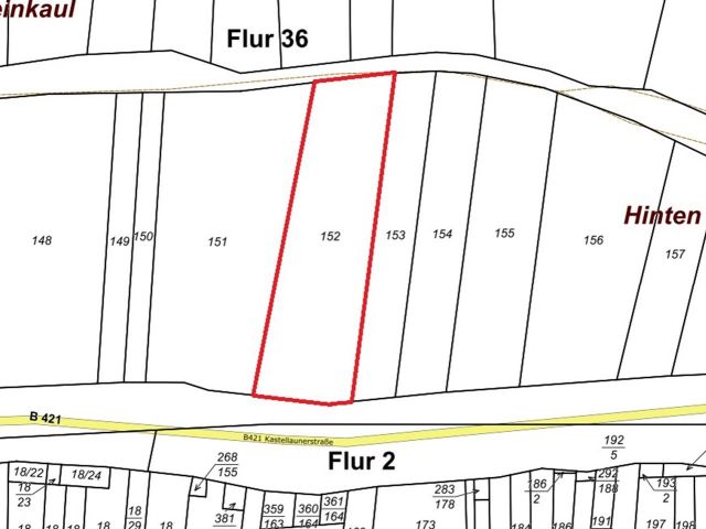 Lageskizze - Vertragsfreier Weinberg mit der Rebsorte Riesling östlich der Mosel **sofortige Nutzung möglich**