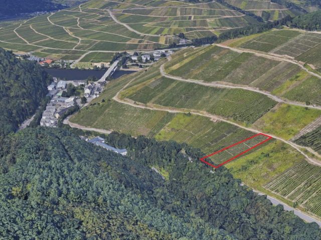 Lage des Verkaufsgegenstandes - Vertragsfreier Weinberg mit der Rebsorte Riesling östlich der Mosel **sofortige Nutzung möglich**