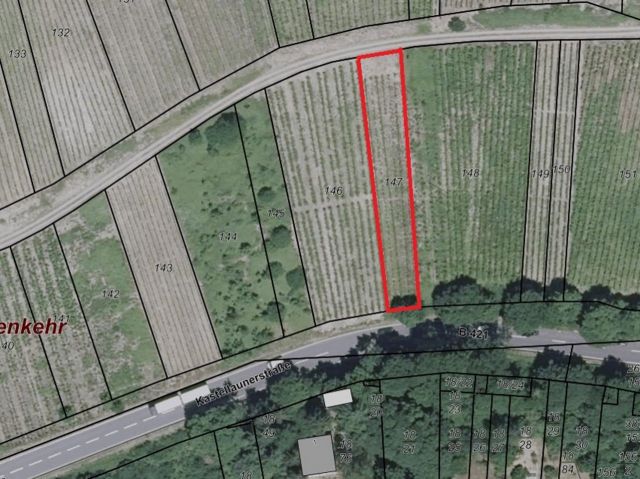 Lageskizze mit Luftbildunterlegung - Vertragsfreier Weinberg mit der Rebsorte Riesling östlich der Mosel **sofortige Nutzung möglich**