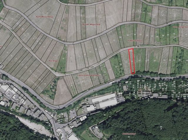 Lageskizze mit Umgebung und Luftbildunterlegung - Vertragsfreier Weinberg mit der Rebsorte Riesling östlich der Mosel **sofortige Nutzung möglich**