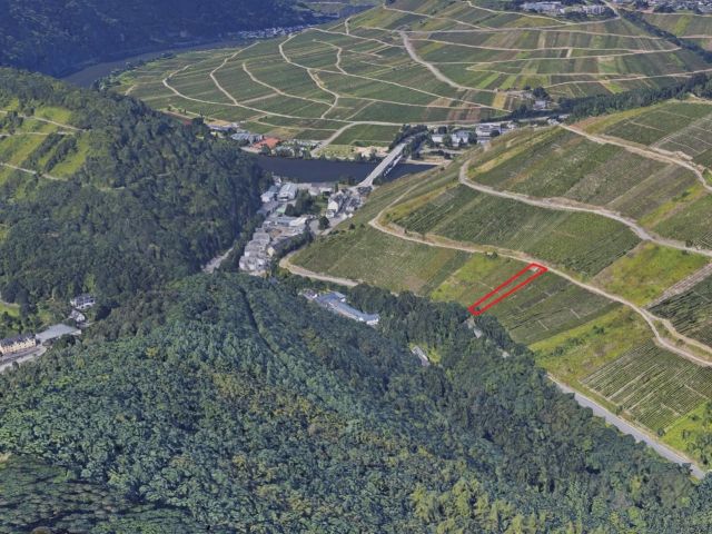 Lage des Verkaufsgegenstandes - Vertragsfreier Weinberg mit der Rebsorte Riesling östlich der Mosel **sofortige Nutzung möglich**
