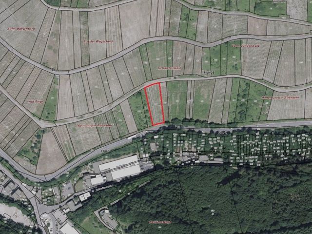 Lageskizze mit Umgebung und Luftbildunterlegung - Vertragsfreier Weinberg mit der Rebsorte Kerner östlich der Mosel **sofortige Nutzung möglich**