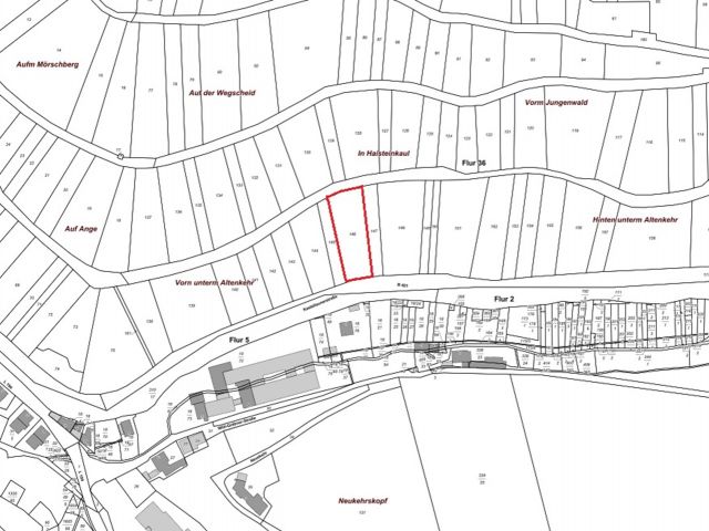 Lageskizze mit Umgebung - Vertragsfreier Weinberg mit der Rebsorte Kerner östlich der Mosel **sofortige Nutzung möglich**