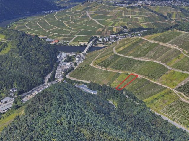 Lage des Verkaufsgegenstandes - Vertragsfreier Weinberg mit der Rebsorte Kerner östlich der Mosel **sofortige Nutzung möglich**