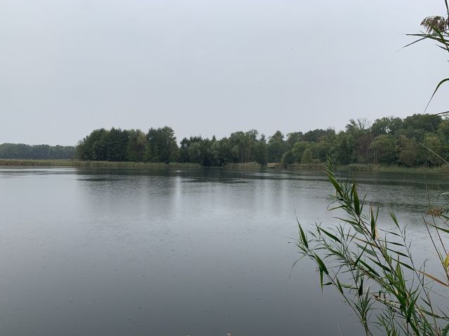 Umgebung - Baggersee Gusow - Vertragsfreie Waldfläche nahe dem Baggersee & dem Schloss Gusow