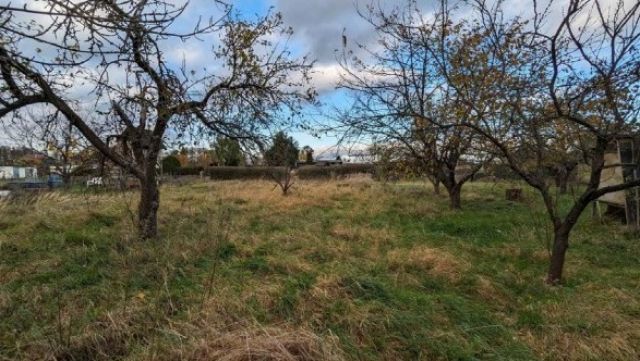 Blick auf Verkaufsfläche und Umgebung Richtung Norden - Vertragsfreier Eigentumsgarten mit einem Aufstellrecht für ein Gartenhaus in einer Kleingartenanlage in Jerichow