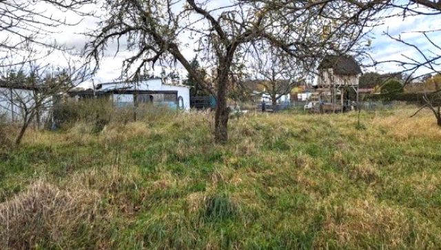Blick auf Verkaufsfläche und Umgebung Richtung Westen - Vertragsfreier Eigentumsgarten mit einem Aufstellrecht für ein Gartenhaus in einer Kleingartenanlage in Jerichow