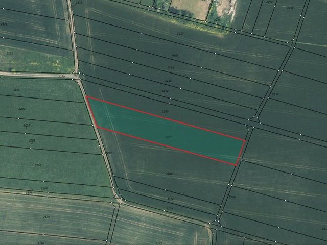 Lageskizze - Bis 30.09.2027 verpachtete Landwirtschaftsfläche in der Rhön