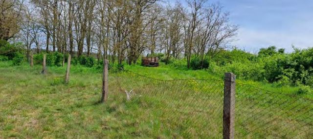 Verkaufsgegenstand - Ehemalige Hausmülldeponie zwischen Bias und Pakendorf