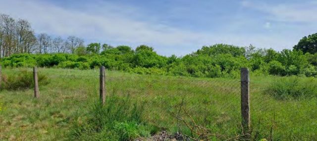 Verkaufsgegenstand - Ehemalige Hausmülldeponie zwischen Bias und Pakendorf