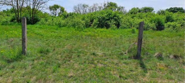 Verkaufsgegenstand - Ehemalige Hausmülldeponie zwischen Bias und Pakendorf