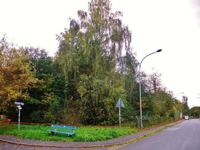 Verkaufsfläche und Umgebung - Aufnahme 2014 - Vertragsfreier ehemaliger Kleingarten und Grün-/Waldfläche am Rande eines Gewerbegebietes in der Metropolregion Nürnberg
