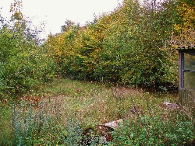 Verkaufsfläche - Aufnahme 2014 - Vertragsfreier ehemaliger Kleingarten und Grün-/Waldfläche am Rande eines Gewerbegebietes in der Metropolregion Nürnberg