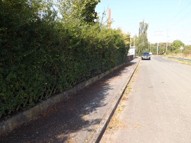 Verkaufsfläche links und Umgebung - Vertragsfreier ehemaliger Kleingarten und Grün-/Waldfläche am Rande eines Gewerbegebietes in der Metropolregion Nürnberg