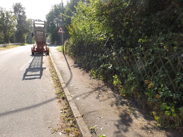 Verkaufsfläche rechts und Umgebung   - Vertragsfreier ehemaliger Kleingarten und Grün-/Waldfläche am Rande eines Gewerbegebietes in der Metropolregion Nürnberg