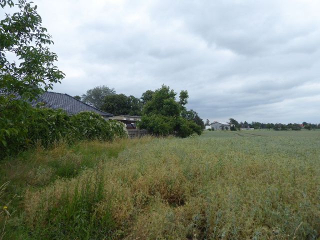 Blick auf die Umgebung Richtung Verkaufsfläche - Vermietetes Gartengrundstück hinter Wohnbebauung im Harz