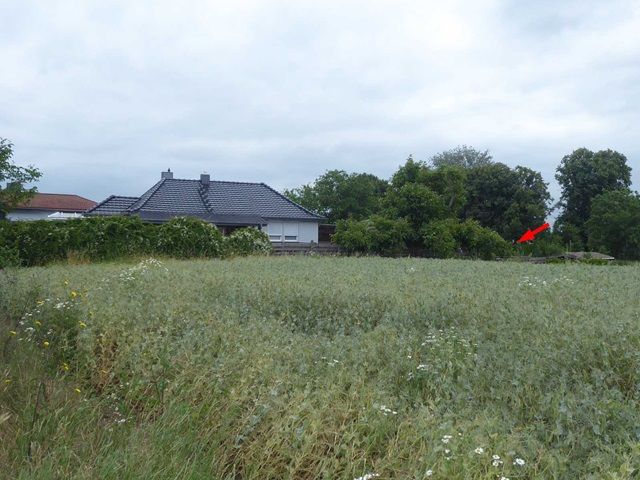 Blick auf Umgebung und Lage der Verkaufsfläche - Vermietetes Gartengrundstück hinter Wohnbebauung im Harz