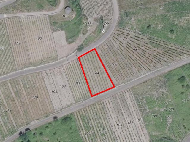 Lageskizze - Vertragsfreier Weinberg in altem Weinort an der Mittelmosel **Rebsorte Spätburgunder**