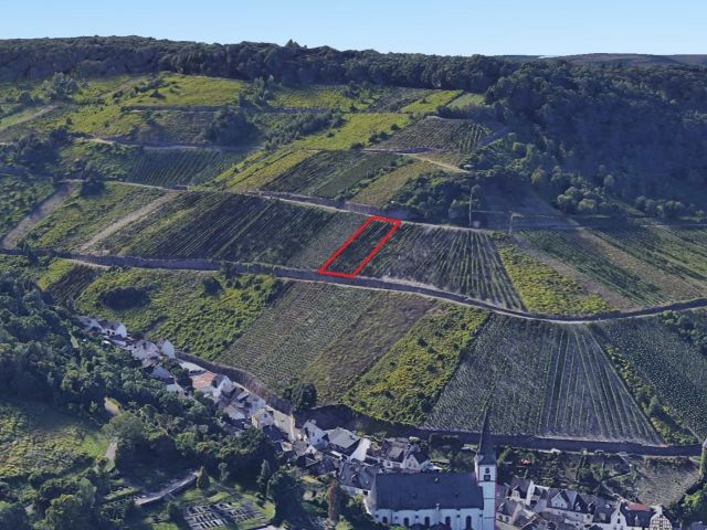 Lage des Verkaufsgegenstandes - Vertragsfreier Weinberg in altem Weinort an der Mittelmosel **Rebsorte Spätburgunder**