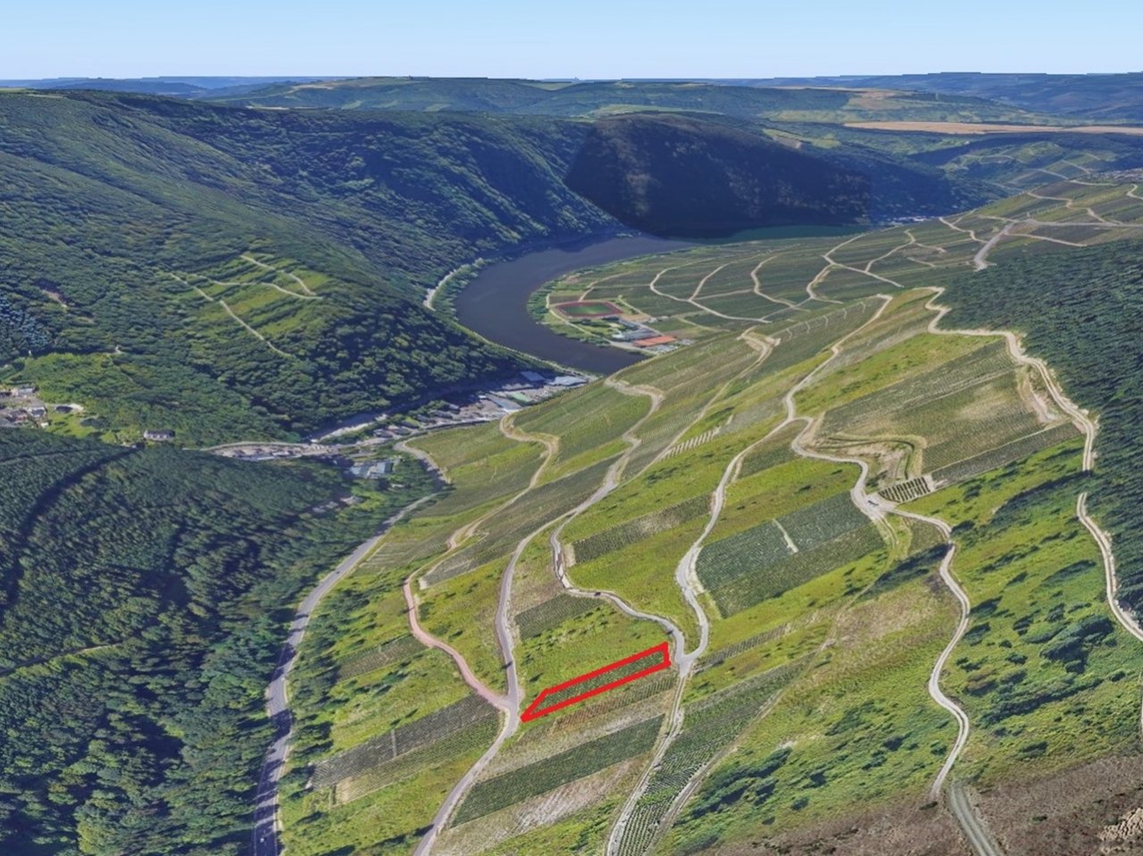 Grundstück kaufen in Zell (Mosel) Vertragsfreie Weinbergsbrache