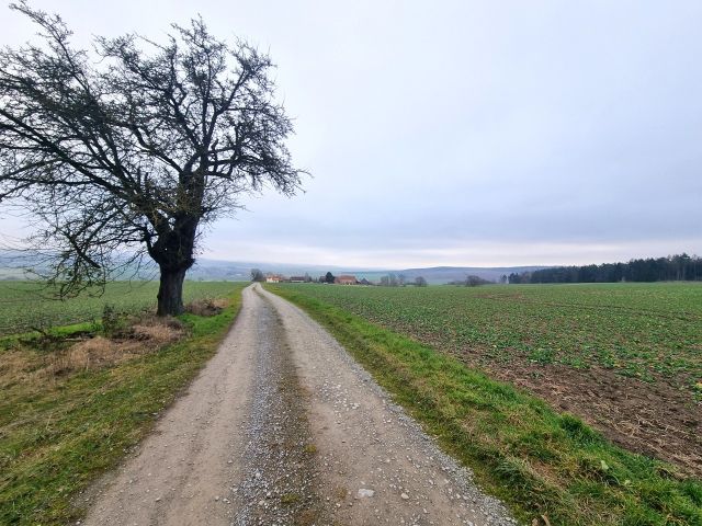 Zuwegung zur Verkaufsfläche - 1/2 Miteigentumsanteil an einer verpachteten Landwirtschaftsfläche nördlich der Kleinsiedlung Hetzeberg