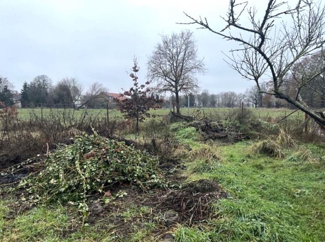 Pflanzabschnitte auf der Verkaufsfläche - Vertragsfreie Fläche mit Garage zwischen Wohngrundstücken in Ortslage