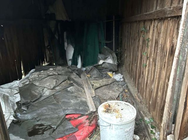 Innenansicht Holzschuppen - Vertragsfreie Fläche mit Garage zwischen Wohngrundstücken in Ortslage