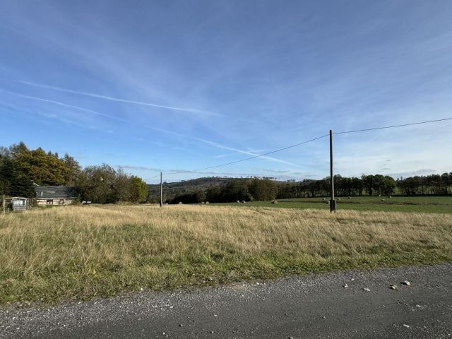 Blick auf Verkaufsfläche und Umgebung - Wiesen-/Landwirtschaftsfläche im Thüringer Wald